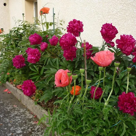 Avec Terrasse Privative Et Jardin Fleuri A Saugues, Inclus - Fr-1-582-90 펜션