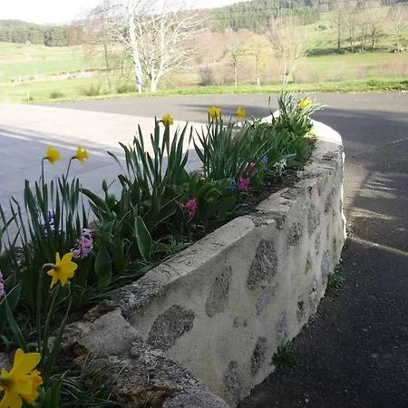 Avec Terrasse Privative Et Jardin Fleuri A Saugues, Inclus - Fr-1-582-90 ساوغيس